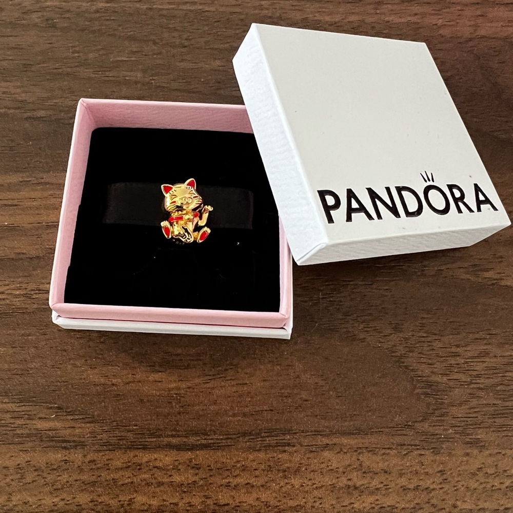 Pandora Charm